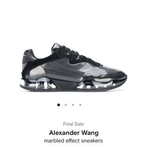 Alexander wang